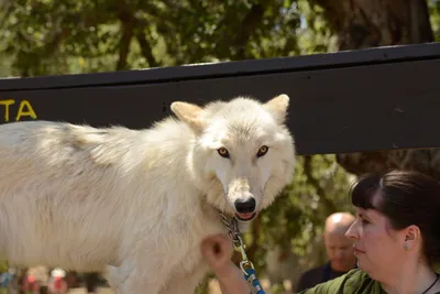 DSC_1659 (Large).JPG